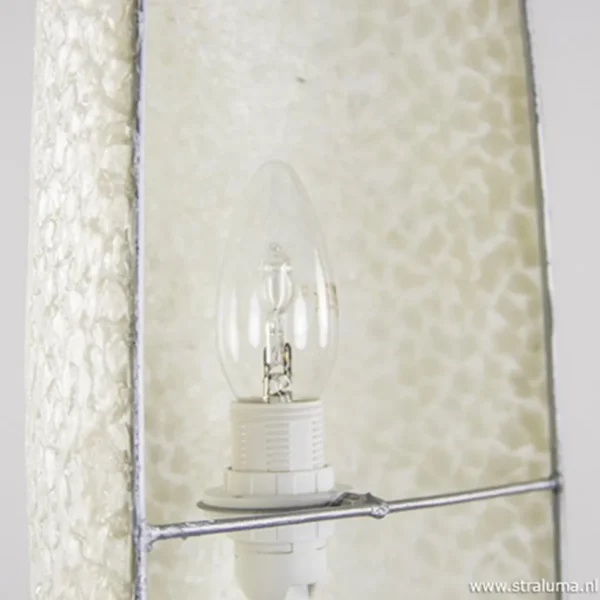 beach_wandlamp_schelpen_w_3.webp Flash Sale Straluma Beach wandlamp schelpen wit