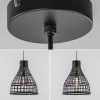 botanische_hanglamp_puert_3.webp Cheap Straluma Botanische hanglamp Puerto rotan mat zwart