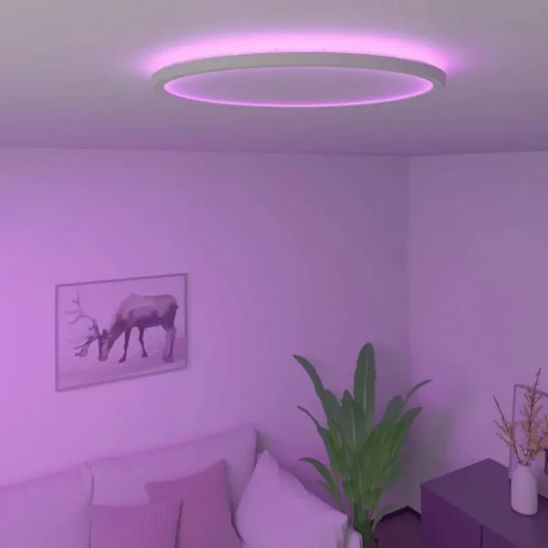 calex_smart_halo_plafondl_4-1.webp Hot Straluma Calex Smart Halo plafondlamp 40 cm