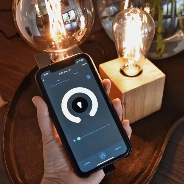 calex_smart_home_e_globe__2.webp Shop Straluma Calex Smart Home E27 Globe LED filament goud G125