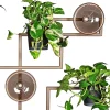 decoratief_metalen_wandre_2.webp Sale Straluma Decoratief metalen wandrek inclusief potten