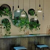 design_hanglamp_lichts_zw_4.webp Cheap Straluma Design hanglamp 7-lichts zwart met nikkel