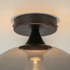 globe_plafondlamp_zwart_m_2.webp Sale Straluma Globe plafondlamp zwart met smoke/titanium glas 30 cm