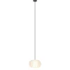 hanglamp_arena_l_cm_zwart_1.webp New Straluma Hanglamp Arena 1L 30cm zwart/kap wit