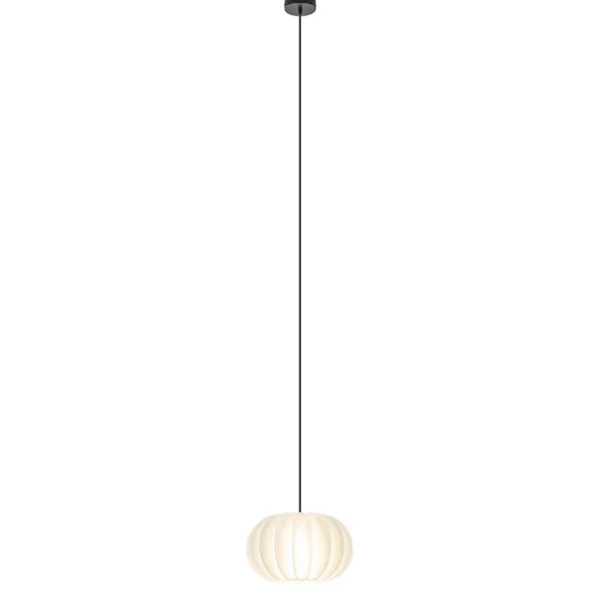 hanglamp_arena_l_cm_zwart_1.webp New Straluma Hanglamp Arena 1L 30cm zwart/kap wit