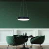 hanglamp_ringlede_zwart_c_4.webp Flash Sale Straluma Hanglamp Ringlede zwart 48cm