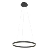 hanglamp_ringlux_zwart_1.webp Discount Straluma Hanglamp Ringlux zwart
