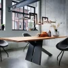hanglamp_tortona_l_zwart__4.webp Cheap Straluma Hanglamp Tortona 5L zwart 150cm