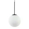 hanglamp_zwart_met_opaal__0.webp Best Straluma Hanglamp zwart met opaal wit glas 30 cm