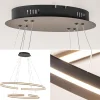 hanglamp_zwart_x_ledband__3.webp Store Straluma Hanglamp zwart 2x ledband ovaal