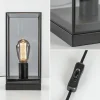 Online Straluma Kleine tafellamp Askjer zwart met smoke glas