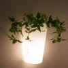 Cheap Straluma Kunststof buitenlamp wit IP54