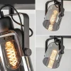 lichts_plafondlamp_mat_zw_3-1.webp Flash Sale Straluma 3-Lichts plafondlamp mat zwart met smoke glazen kappen
