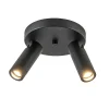 lichts_plafondspot_mat_zw_1.webp Online Straluma 2-Lichts plafondspot mat zwart met gouden accent
