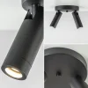 lichts_plafondspot_mat_zw_2.webp Online Straluma 2-Lichts plafondspot mat zwart met gouden accent