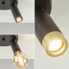 lichts_plafondspot_mat_zw_3.webp Online Straluma 2-Lichts plafondspot mat zwart met gouden accent