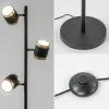 New Straluma 3-Lichts vloerlamp zwart/goud met dimbare spots