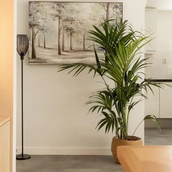 moderne_staande_lamp_met__4.webp Shop Straluma Moderne staande lamp met draad kap mat zwart