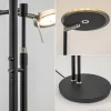 moderne_uplighterleeslamp_2.webp Store Straluma Moderne uplighter/leeslamp zwart met smoke glas