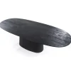 ovale_eettafel_aron_x_cm__2.webp Discount Straluma Ovale eettafel Aron 300x110 cm zwart mangohout