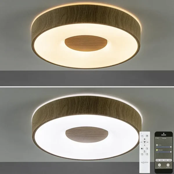 plafondlamp_coin__hout__r_2-1.webp Cheap Straluma Plafondlamp Coin 38 hout + remote CCT