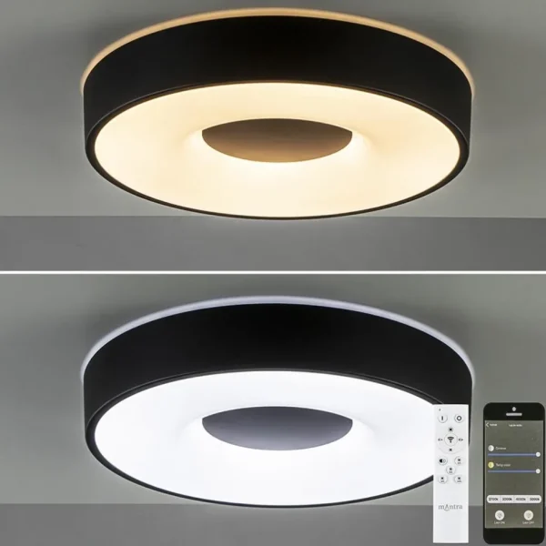 plafondlamp_coin__zwart___2.webp Sale Straluma Plafondlamp Coin 38 zwart + remote CCT