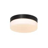 plafondlamp_ikaro_zwart_c_1-1.webp Hot Straluma Plafondlamp Ikaro zwart 18cm 3-step dim