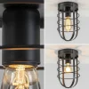 plafondlamp_kooi_zwart_3.webp Cheap Straluma Plafondlamp kooi zwart