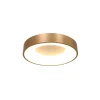 plafondlamp_ringlede_cm_m_1-1.webp Hot Straluma Plafondlamp Ringlede 30cm matgoud