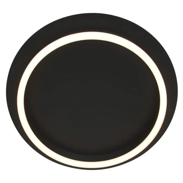 plafondlamp_ringlux_zwart_1.webp Cheap Straluma Plafondlamp Ringlux zwart