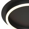plafondlamp_ringlux_zwart_2.webp Cheap Straluma Plafondlamp Ringlux zwart