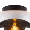 plafondlamp_zwart_met_smo_3.webp Sale Straluma Plafondlamp zwart met smoke glas
