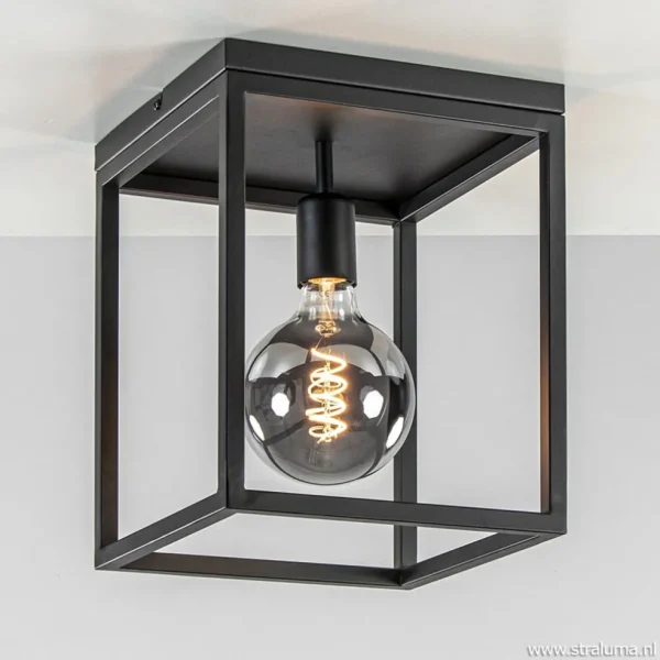 plafondlamp_zwart_open_fr_1.webp Cheap Straluma Plafondlamp zwart open frame