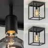 plafondlamp_zwart_open_fr_3.webp Cheap Straluma Plafondlamp zwart open frame