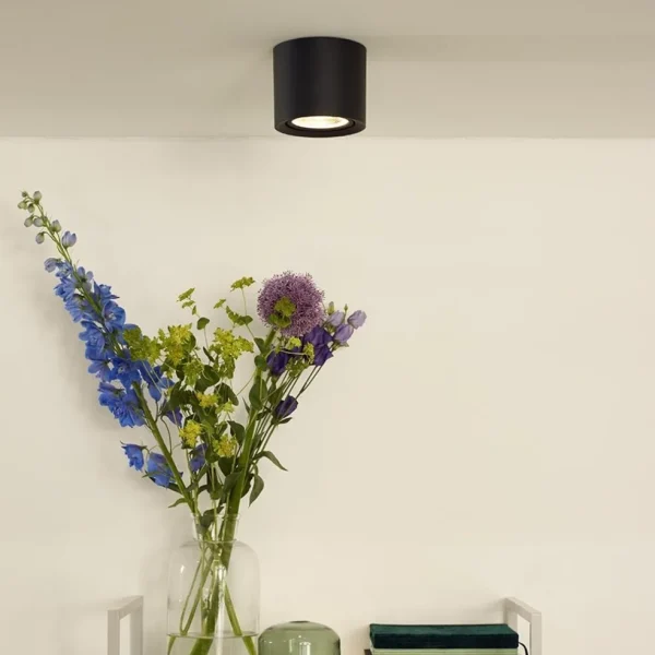 plafondspot_cilinder_zwar_4.webp Sale Straluma Plafondspot cilinder zwart gu10-111 dim to warm