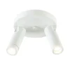 plafondspot_miller_l_witg_1.webp Cheap Straluma Plafondspot Miller 2l wit/goud pucc