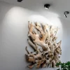 Outlet Straluma Plafondspot Nautilus zwart