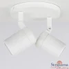 plafondspot_rain_l_rond_w_1.webp Online Straluma Plafondspot Rain 2L rond wit gu10 IP44