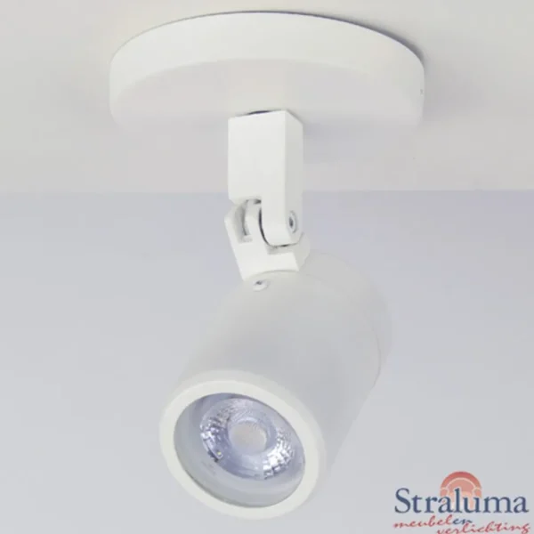 Online Straluma Plafondspot wit gu10 IP44