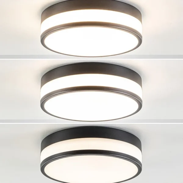 plafonnire_zwartopaal_gla_1.webp Online Straluma Plafonnière zwart/opaal glas 3-step dim IP44
