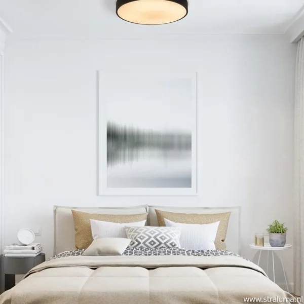 ronde_plafondlamp_zwart_i_4.webp Clearance Straluma Ronde plafondlamp zwart inclusief LED en remote