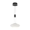 smart_hanglamp_mat_zwart__0-1.webp Store Straluma Smart hanglamp mat zwart met opaal glazen kap