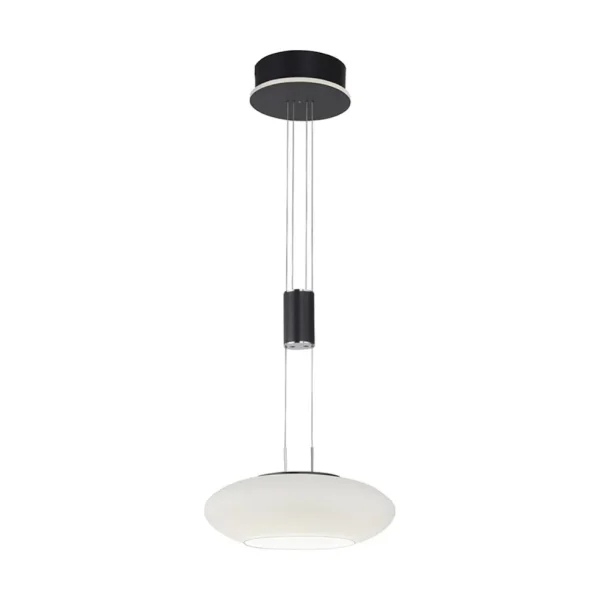 smart_hanglamp_mat_zwart__0-1.webp Store Straluma Smart hanglamp mat zwart met opaal glazen kap