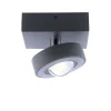 smart_plafondlamp_met_len_0.webp Hot Straluma Smart plafondlamp met lens antraciet