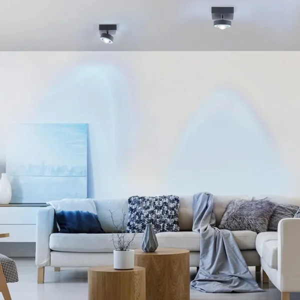 smart_plafondlamp_met_len_4.webp Hot Straluma Smart plafondlamp met lens antraciet