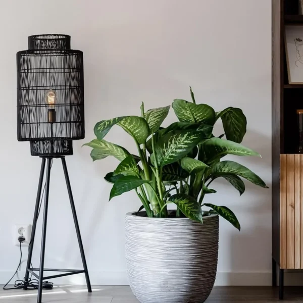 Fashion Straluma Trendy draad-vloerlamp Gruaro zwart