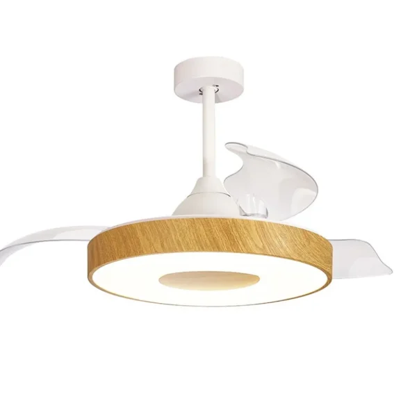 Fashion Straluma Ventilator Coin hout remote cct