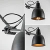 Discount Straluma Verstelbare 3-lichts plafondlamp met zwarte kappen