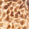vloerlamp_wangi_gold_zuil_2.webp Hot Straluma Vloerlamp Wangi Gold zuil schelpen 150cm