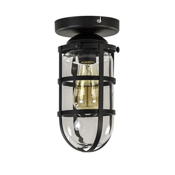 zwarte_kooi_plafondlamp_m_0.webp Discount Straluma Zwarte Kooi- plafondlamp met glas